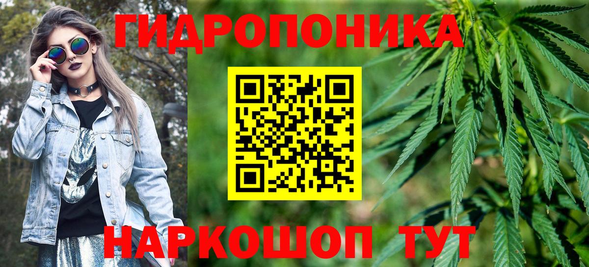 Чайковский  Бошки марихуана сатива  Вход с VPN  Шишки марихуана SATIVA & INDICA  Шишки марихуана SATIVA & INDICA 